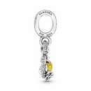 Charm Simbolo das Princesa - Wayne  Joias