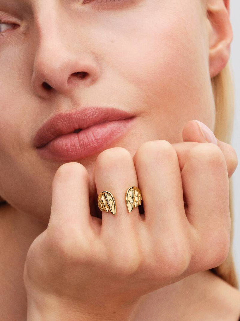 Anel Aberto Thor Wings