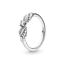 anel asas da proteção