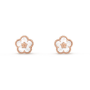 Brincos Lucky Springs