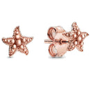 Brincos Estrela do Mar - aphrodite