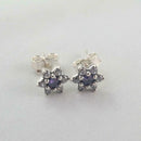 Brincos Flor da Recordação