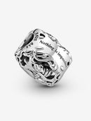 Charm Lagarta e Gato