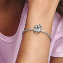 Charm Mickey e Minnie no Avião