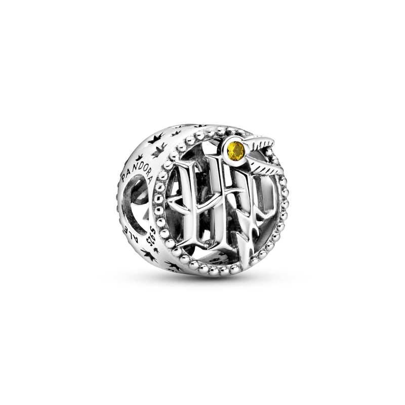 Charm Vazado Ícones De Harry Potter - Harry Potter