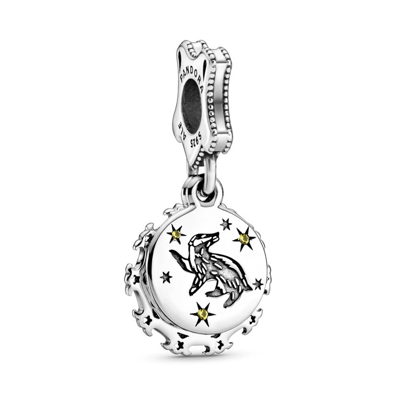 Charms Casa de Hogwarts - Harry Potter