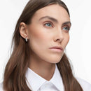 Brincos Argolas Dextera - Aphrodite Joias